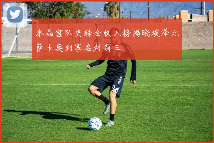 水晶宫队史转会收入榜揭晓埃泽比萨卡奥利塞名列前三