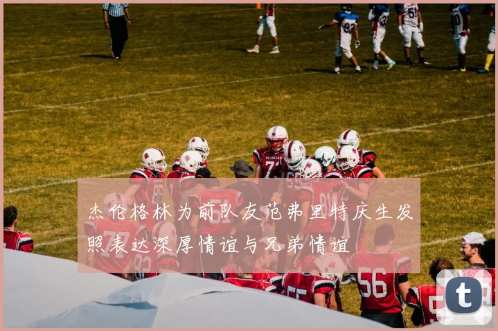 杰伦格林为前队友范弗里特庆生发照表达深厚情谊与兄弟情谊
