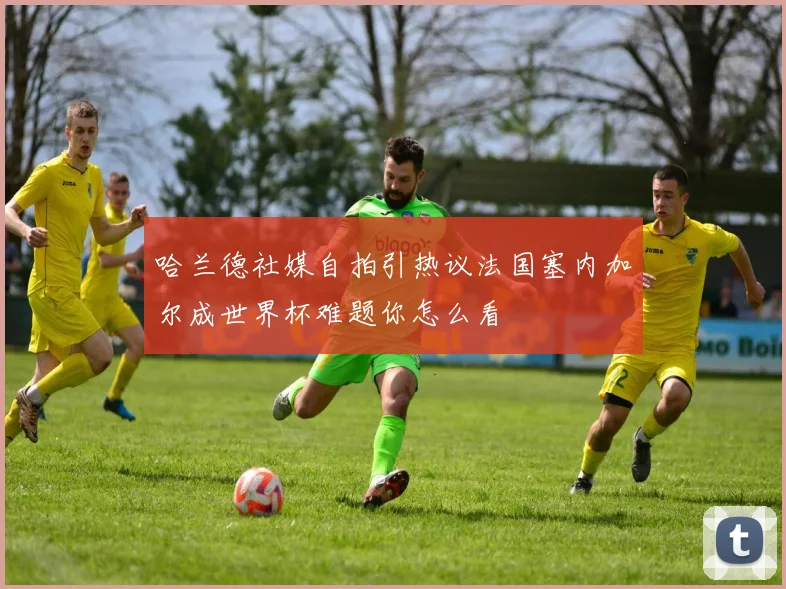 哈兰德社媒自拍引热议法国塞内加尔成世界杯难题你怎么看