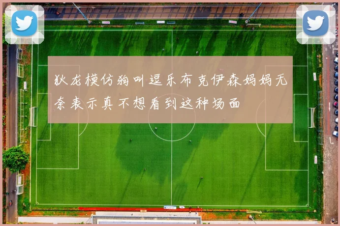 狄龙模仿狗叫逗乐布克伊森妈妈无奈表示真不想看到这种场面