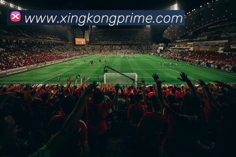 星空体育平台生态图